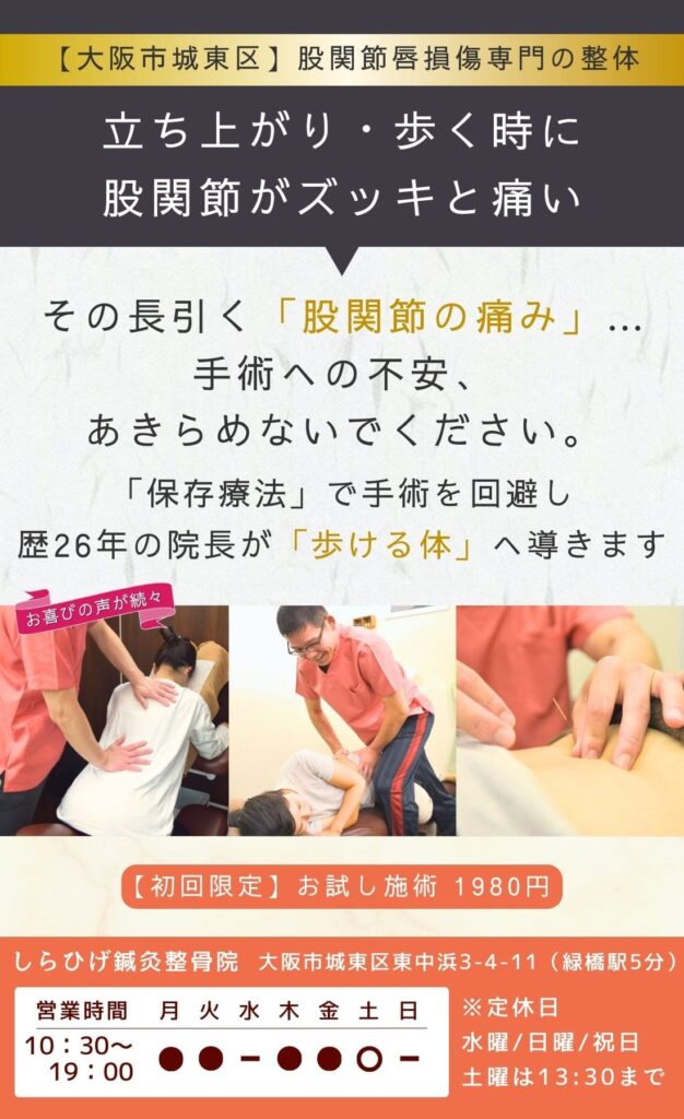 大阪市城東区の股関節唇損傷専門整体。「立ち上がり・歩く時に股関節がズキッと痛い」悩みへ。保存療法で手術を回避し歩ける体へ導きます。