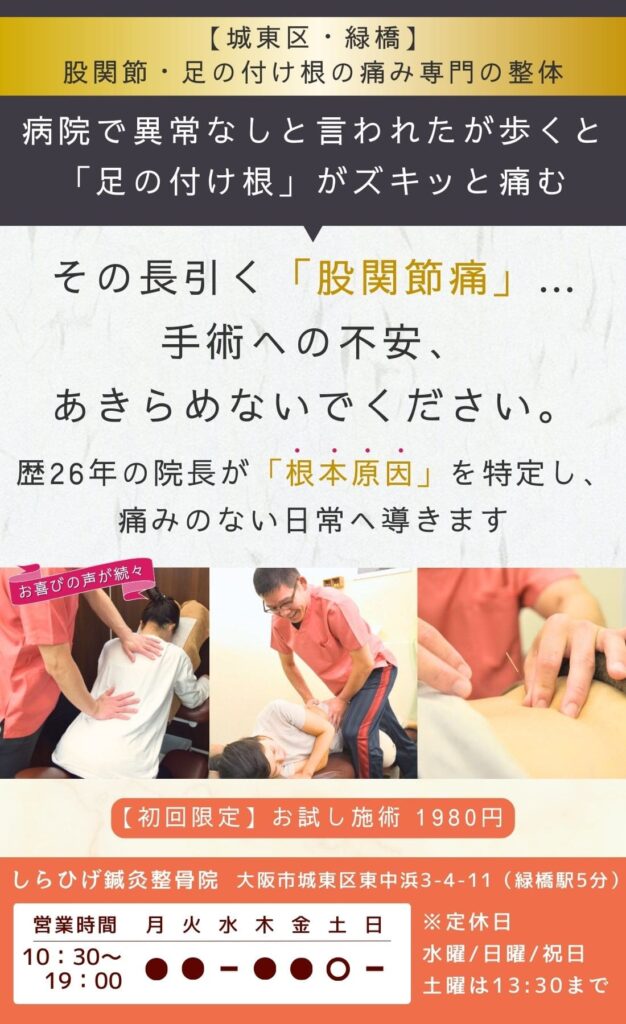 城東区・緑橋 股関節・足の付け根の痛み専門の整体をお探しの方へ。病院で異常なしと言われたが歩くと「足の付け根」がズキッと痛む方。その長引く股関節痛、手術への不安、あきらめないでください。歴26年の院長が根本原因を特定し、痛みのない日常へ導きます。しらひげ鍼灸整骨院 初回限定お試し施術1980円