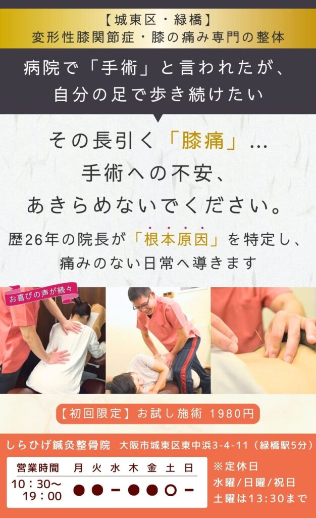 大阪市城東区緑橋の変形性膝関節症・膝痛専門整体｜病院で手術と言われた痛みも根本改善｜初回限定お試し施術実施中｜しらひげ鍼灸整骨院