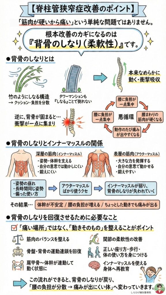 脊柱管狭窄症改善のポイント