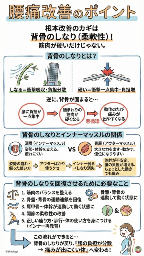 腰痛改善のポイント