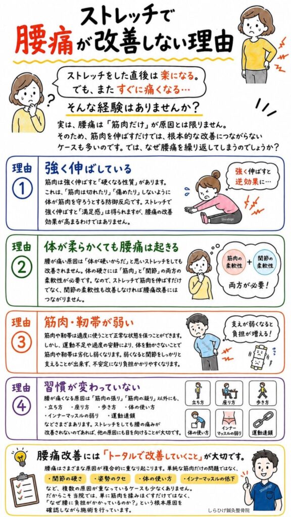 腰痛　ストレッチで改善しない理由