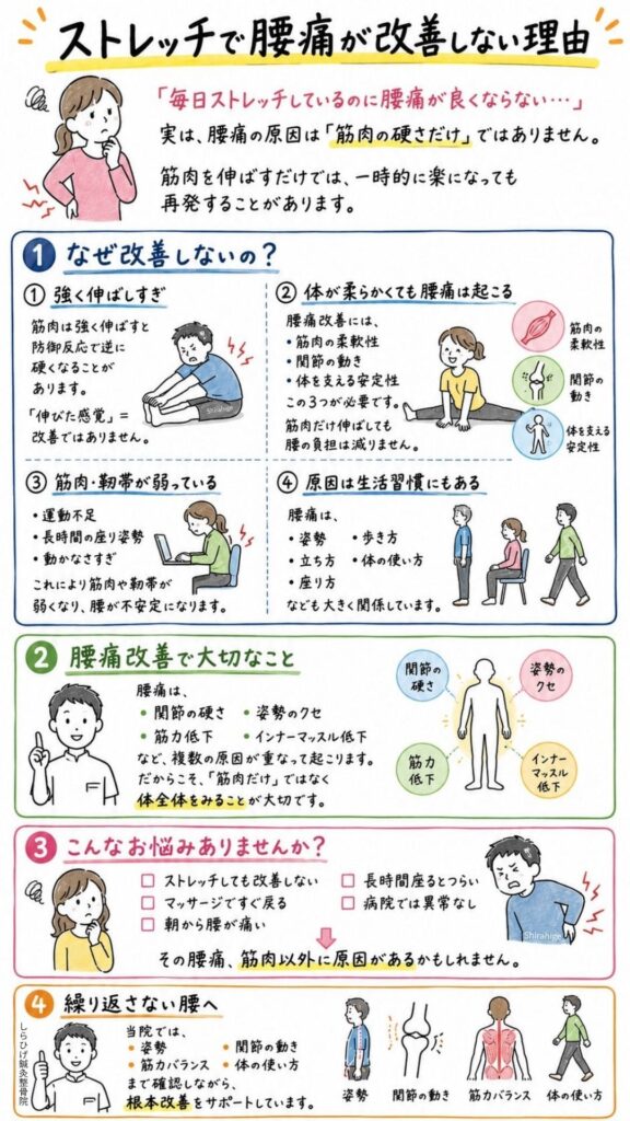 腰痛　ストレッチで改善しない理由