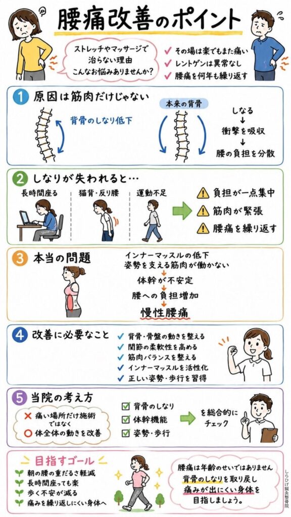 腰痛改善のポイント