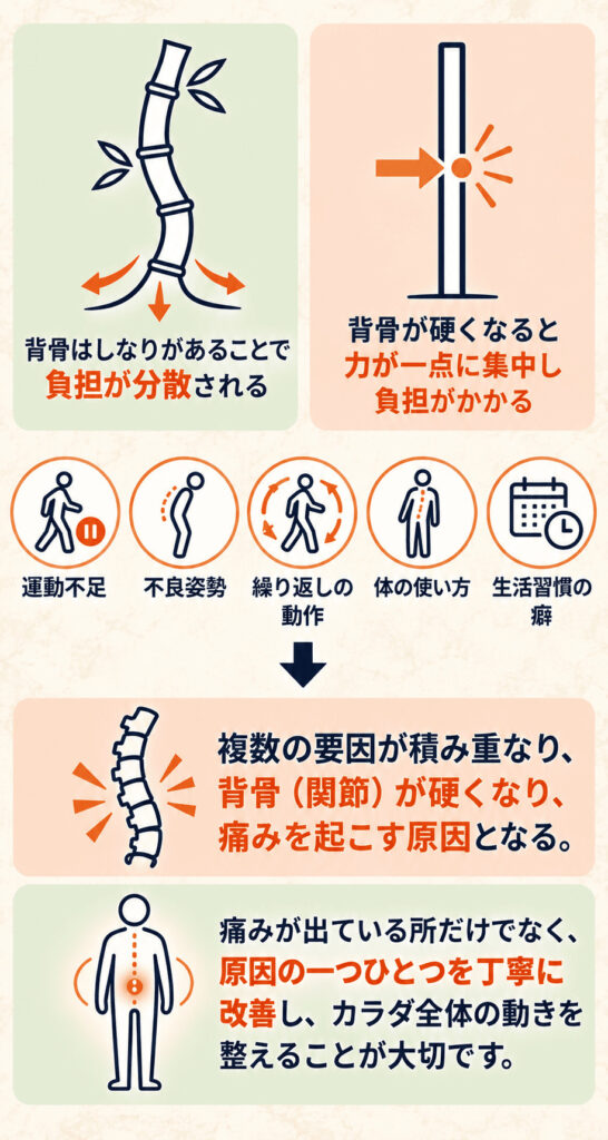 腰痛改善